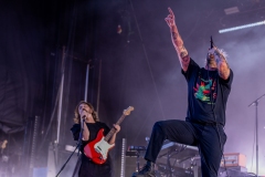 IDLES by Craig J Simmonds Media