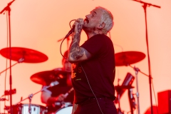 IDLES by Craig J Simmonds Media