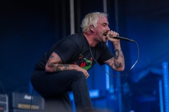 IDLES by Craig J Simmonds Media